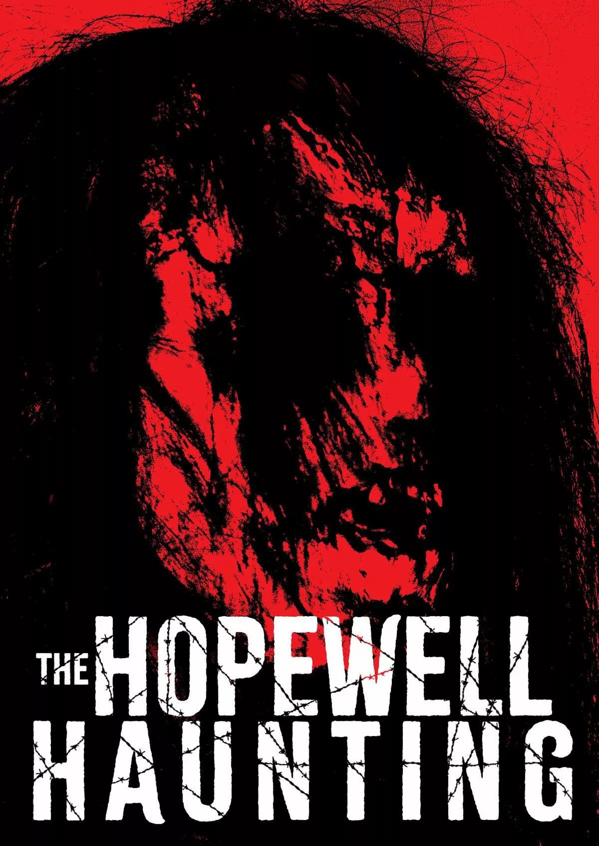 The Hopewell Haunting (2023)